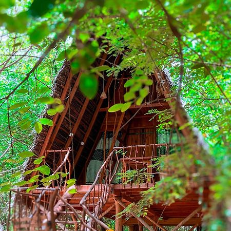 Habarana Tree House Ambasewana Resort ภายนอก รูปภาพ