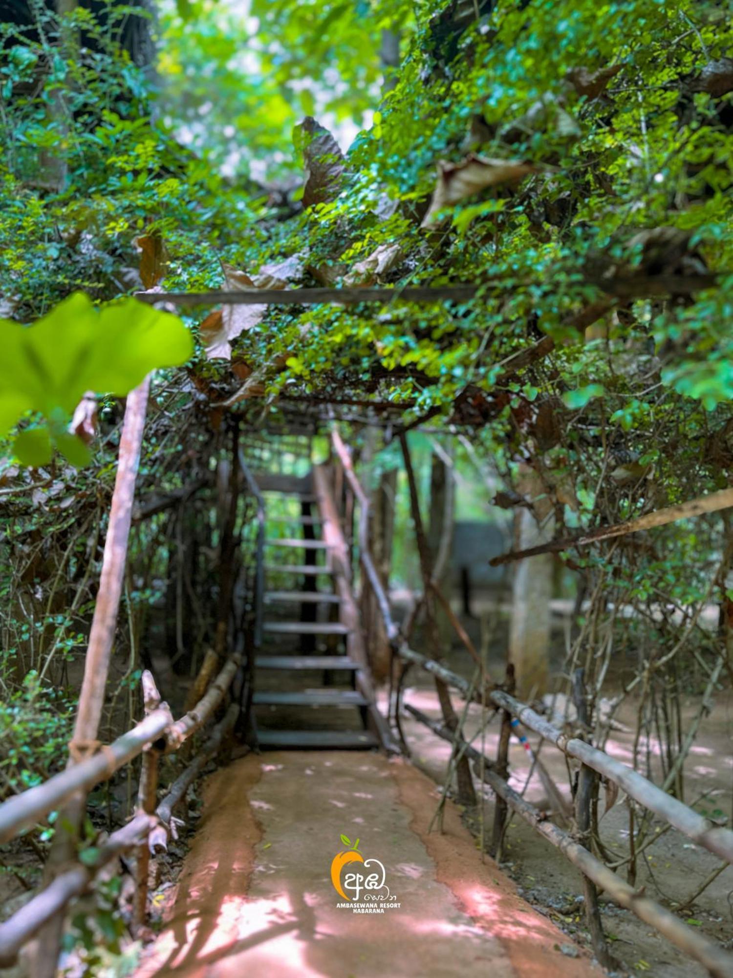 Habarana Tree House Ambasewana Resort ห้อง รูปภาพ