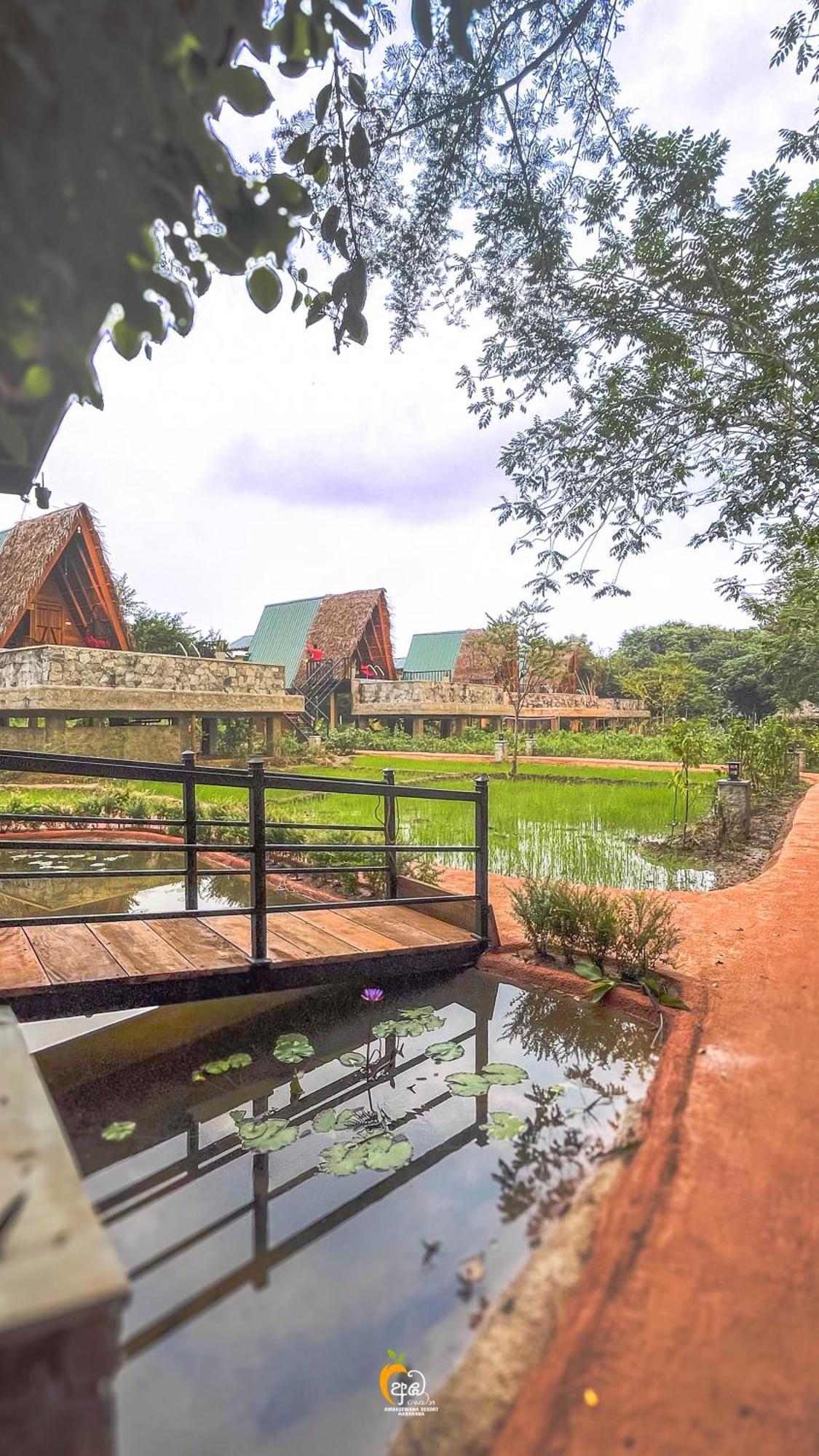 Habarana Tree House Ambasewana Resort ภายนอก รูปภาพ