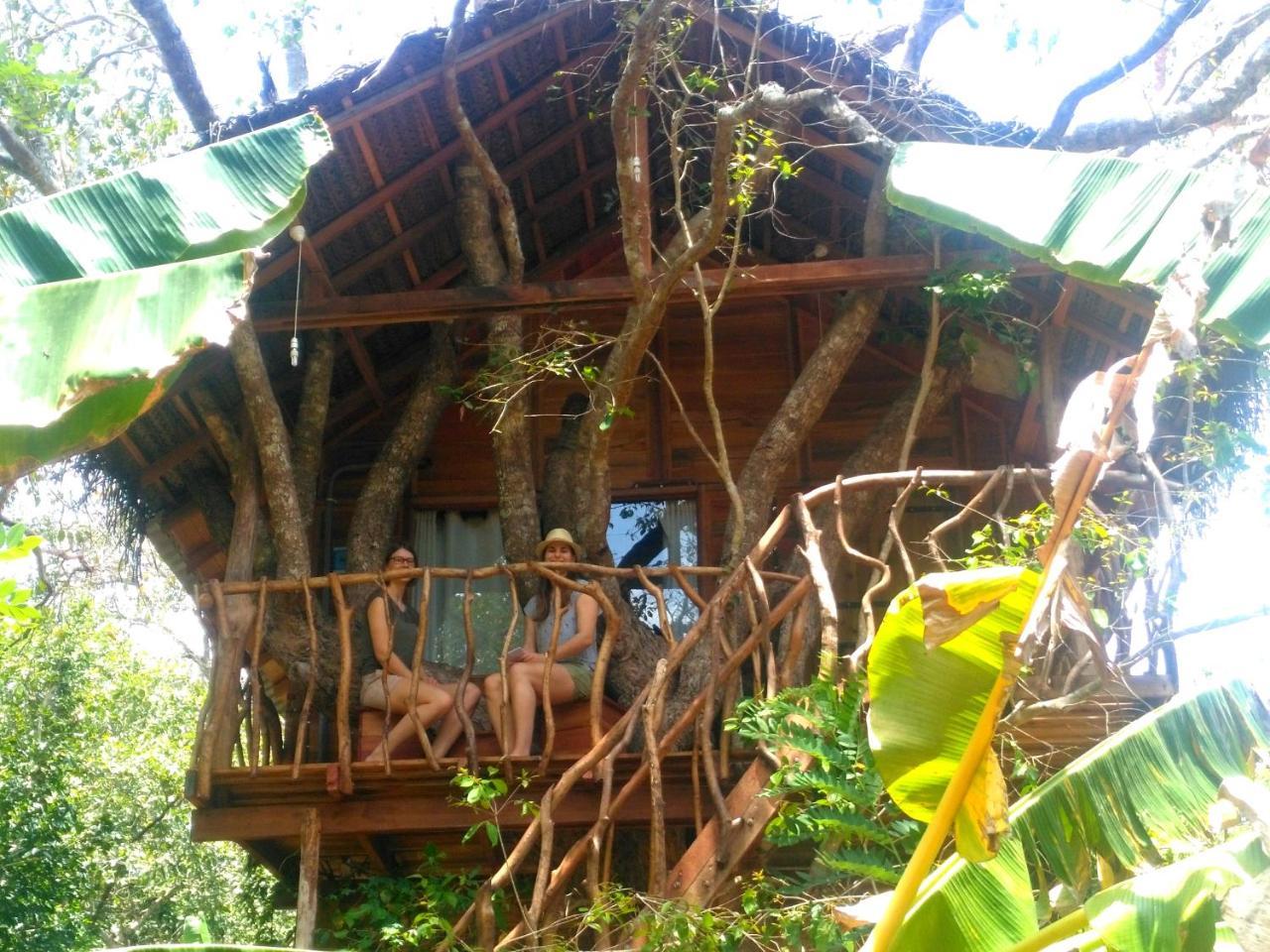 Habarana Tree House Ambasewana Resort ภายนอก รูปภาพ